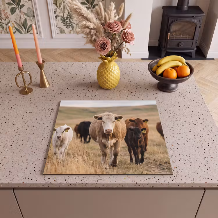 Inductie beschermer - Runderen - Kudde - Landschap - Weide - Rustig — 2