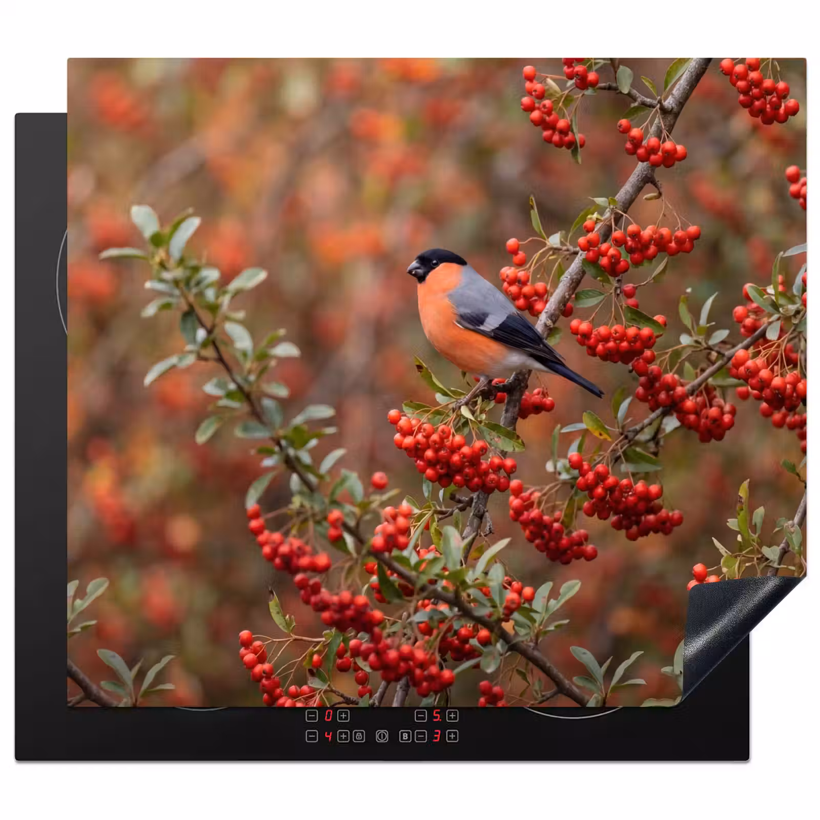 Inductie beschermer - Goudvink - Bessen - Herfst - Natuur - Kleurrijk — 1