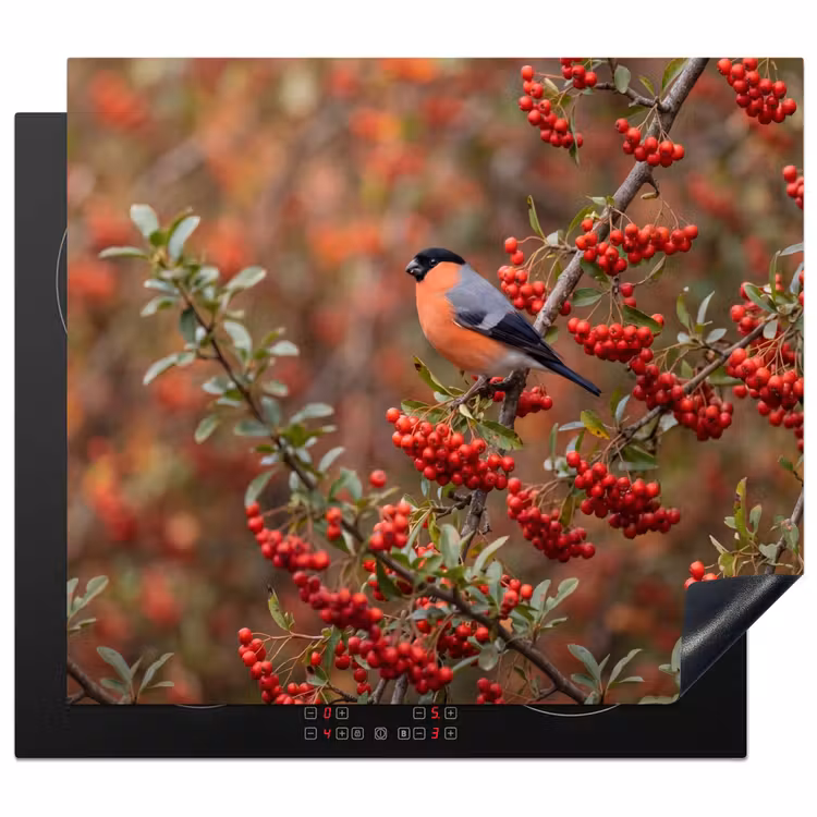 Inductie beschermer - Goudvink - Bessen - Herfst - Natuur - Kleurrijk