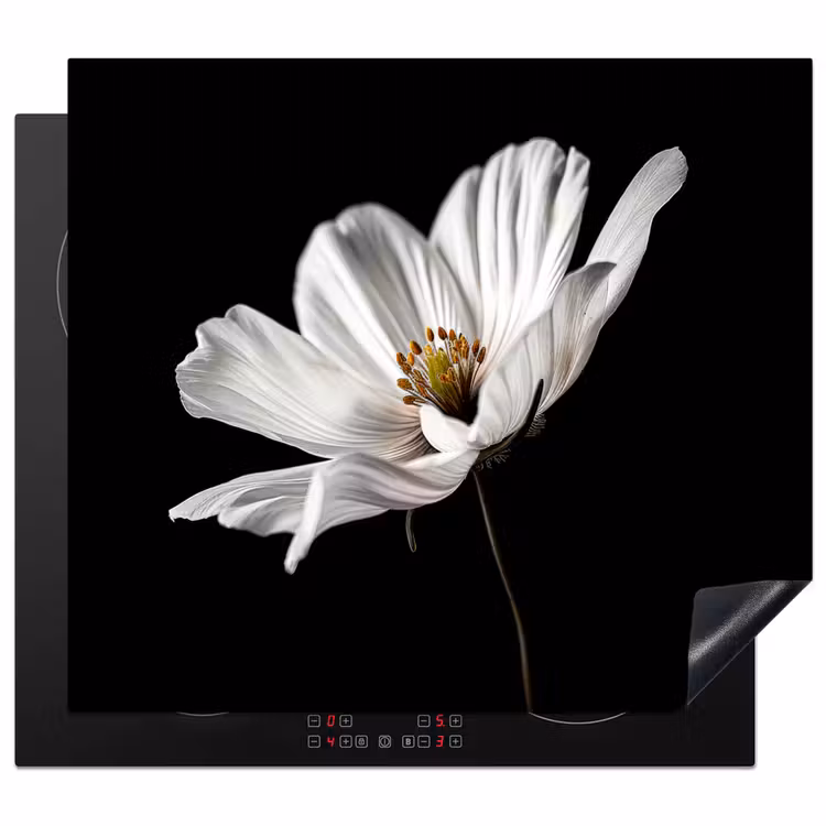 Inductie beschermer - Zijden Solist — 1