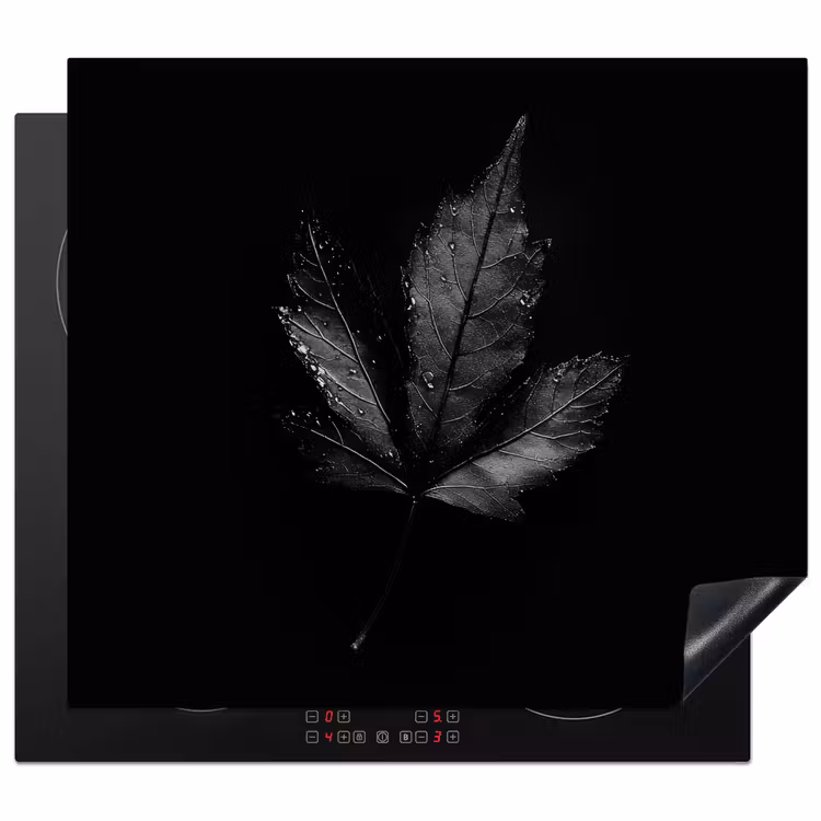 Inductie beschermer - Zwart - Blad — 1