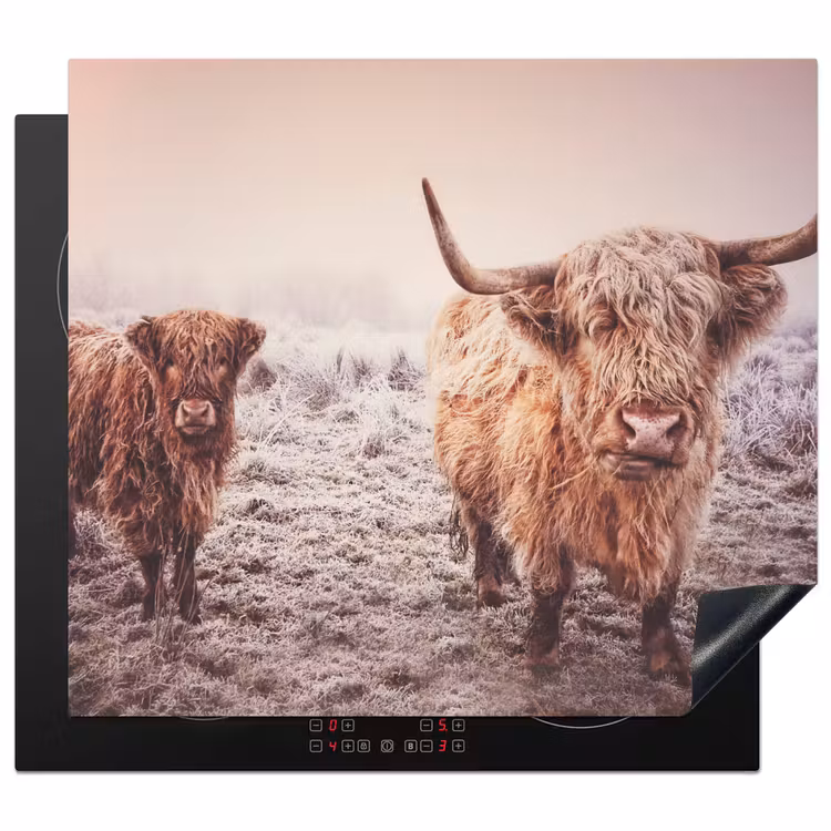 Inductie beschermer - Schotse hooglanders - Licht - Lucht - Natuur
