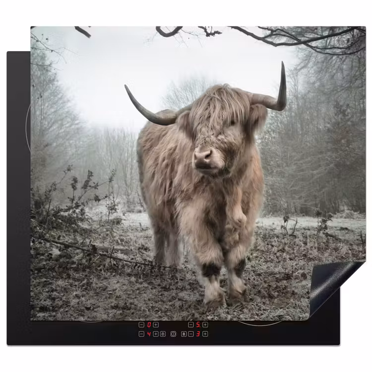 Inductie beschermer - Schotse hooglander - Natuur - Herfst - Dieren - Wild - Bos