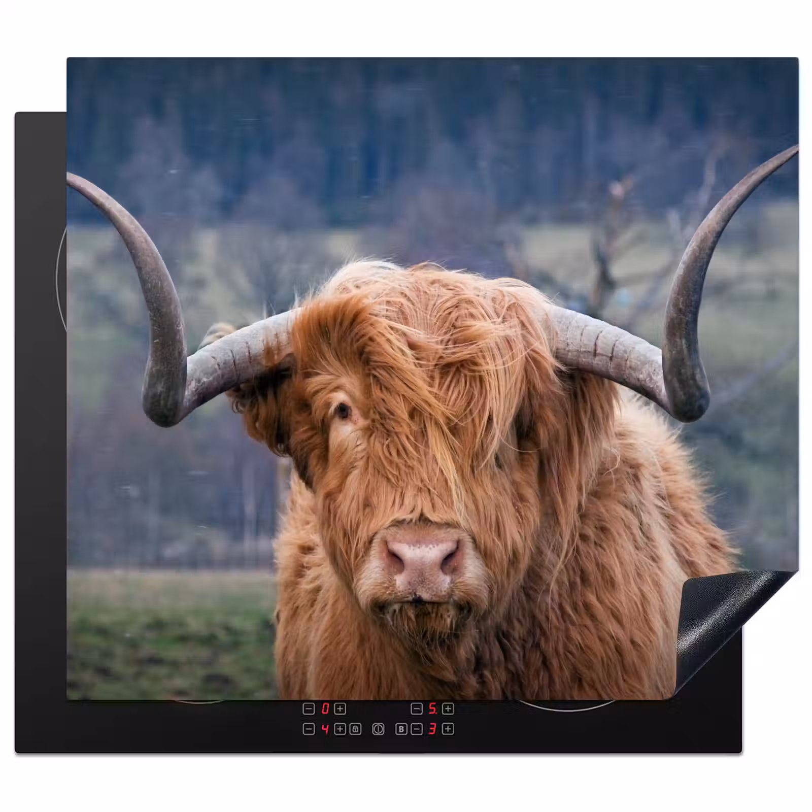 Inductie beschermer - Schotse Hooglander - Koeienkop - Landschap - Natuur - Koe — 1