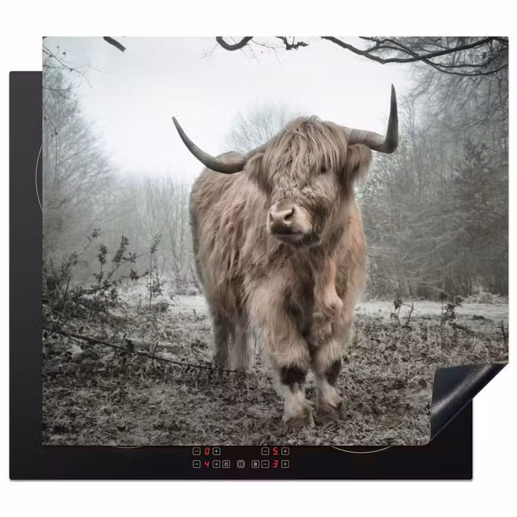 Inductie beschermer - Schotse Hooglander - Bos - Mist - Koe - Dieren - Natuur