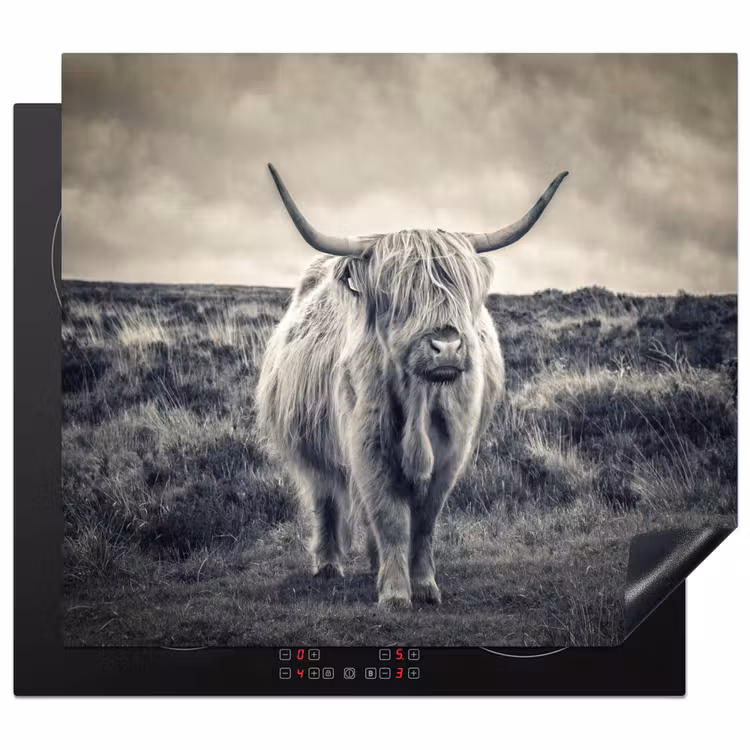 Inductie beschermer - Schotse hooglander - Dieren - Wolken - Koe - Natuur