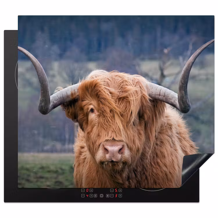 Inductie beschermer - Schotse Hooglander - Koeienkop - Landschap - Natuur - Koe