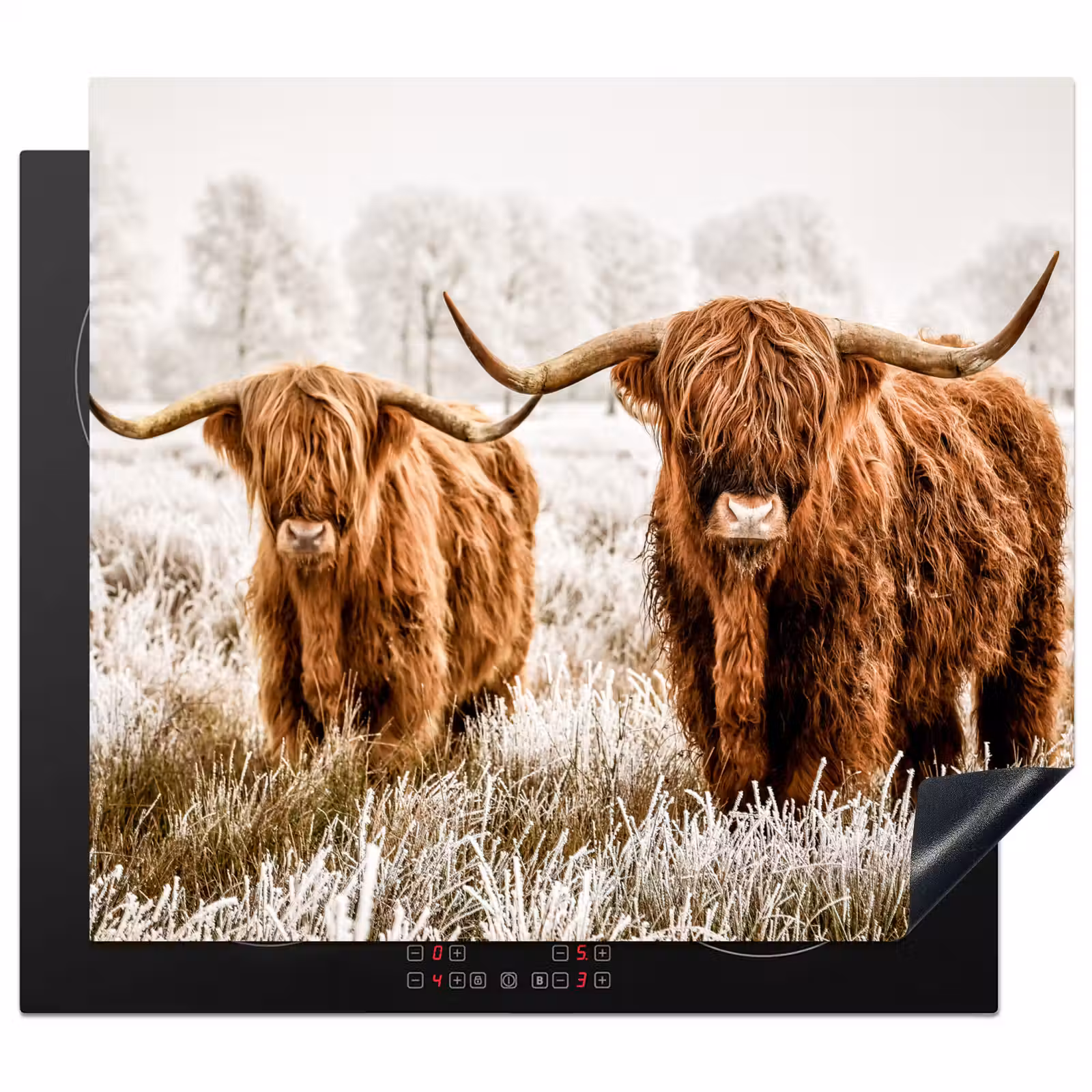 Inductie beschermer - Schotse hooglander - Koe - Natuur - Winter — 1