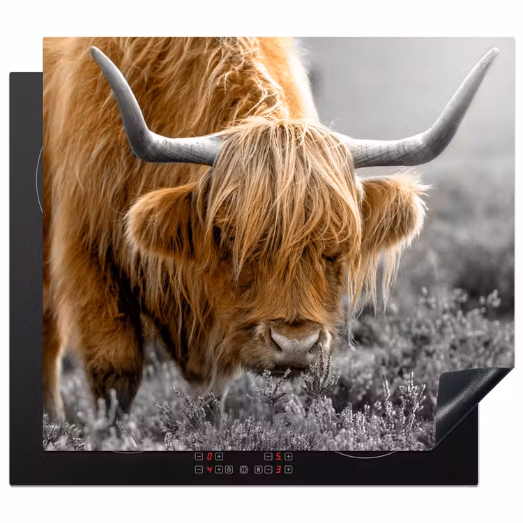 Inductie beschermer - Schotse Hooglander - Dieren - Bruin - Koe - Zwart - Wit - Natuur