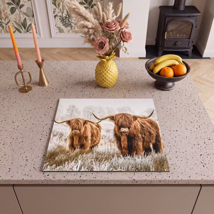 Inductie beschermer - Schotse hooglander - Koe - Natuur - Winter — 2