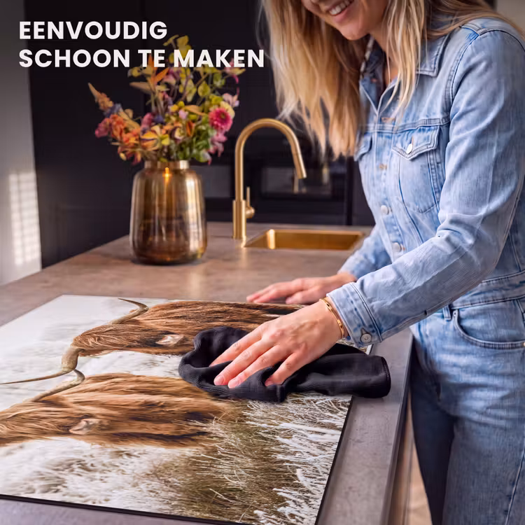 Inductie beschermer - Schotse hooglander - Koe - Natuur - Winter — 6