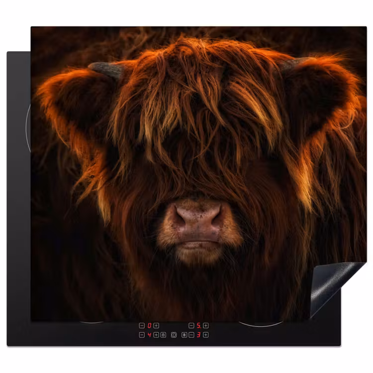 Inductie beschermer - Schotse Hooglander - Koe - Portret - Dieren