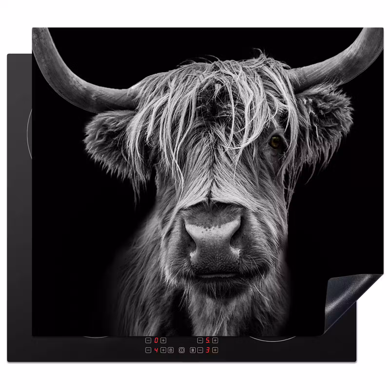 Inductie beschermer - Schotse Hooglander - Horens - Zwart - Wit - Koe - Wild - Dieren — 1