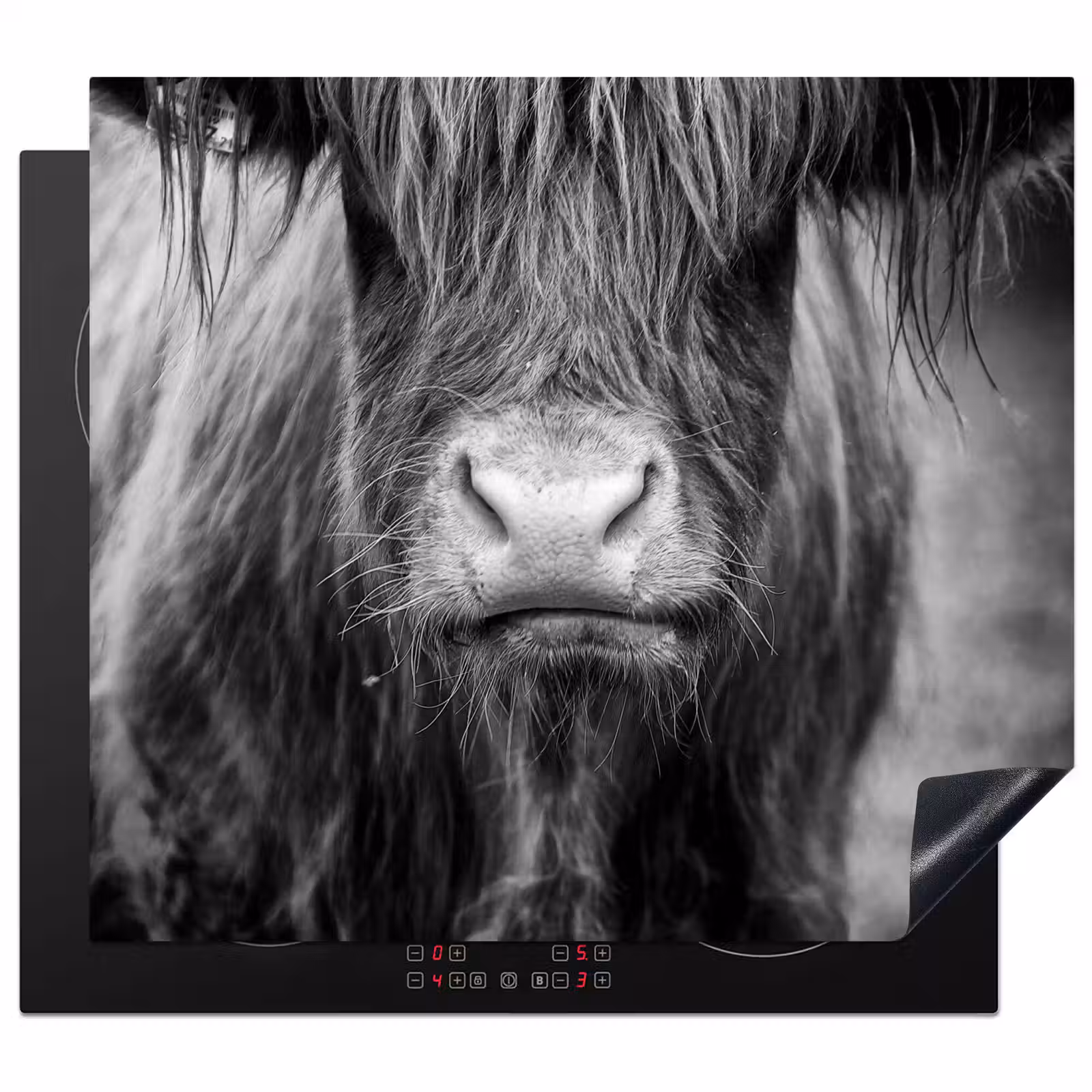 Inductie beschermer - Schotse hooglander - Koe - Zwart - Wit - Dieren — 1