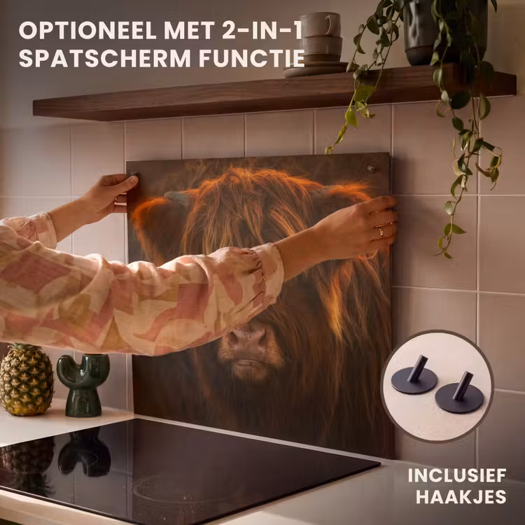 Inductie beschermer - Schotse Hooglander - Koe - Portret - Dieren — 10