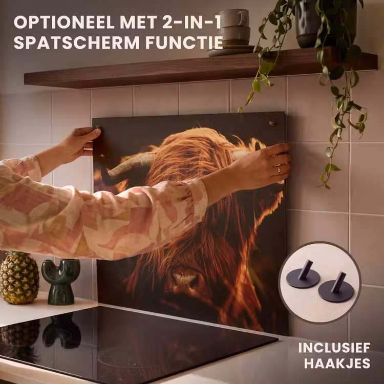 Inductie beschermer - Schotse hooglander - Koe - Hoorns - Portret - Dieren — 10