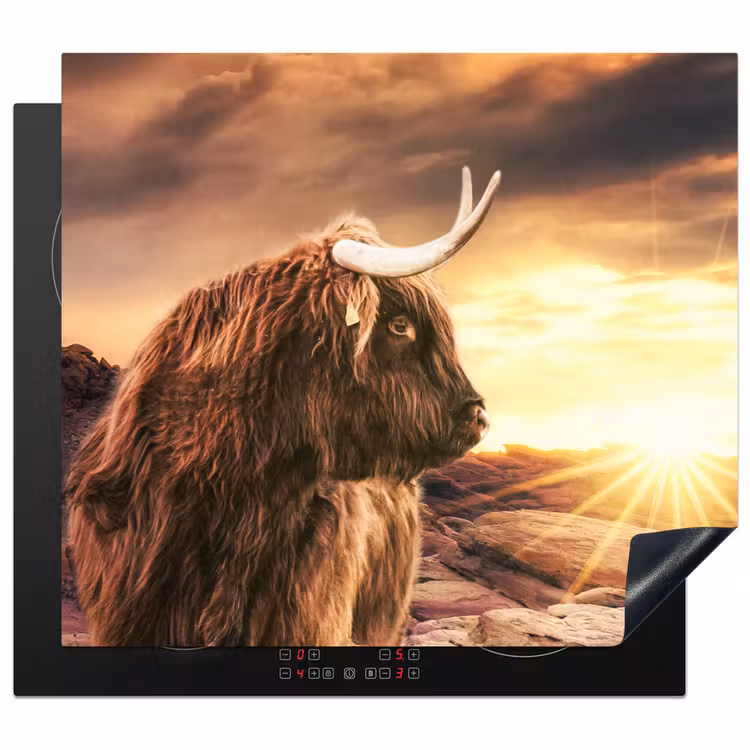 Inductie beschermer - Schotse hooglander - Zon - Horizon - Koe - Dieren