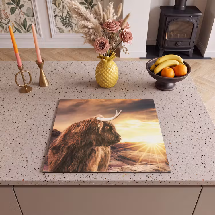 Inductie beschermer - Schotse hooglander - Zon - Horizon - Koe - Dieren — 2