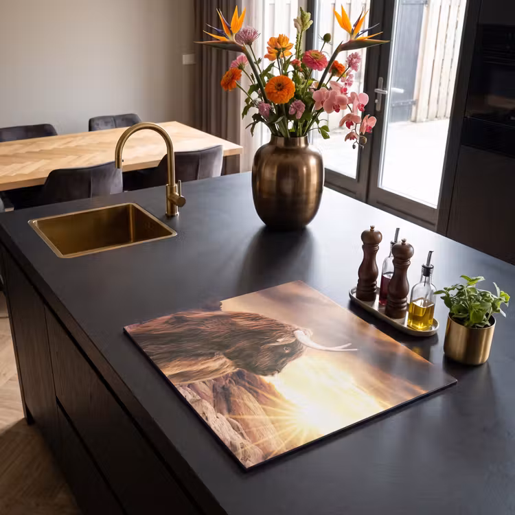 Inductie beschermer - Schotse hooglander - Zon - Horizon - Koe - Dieren — 5