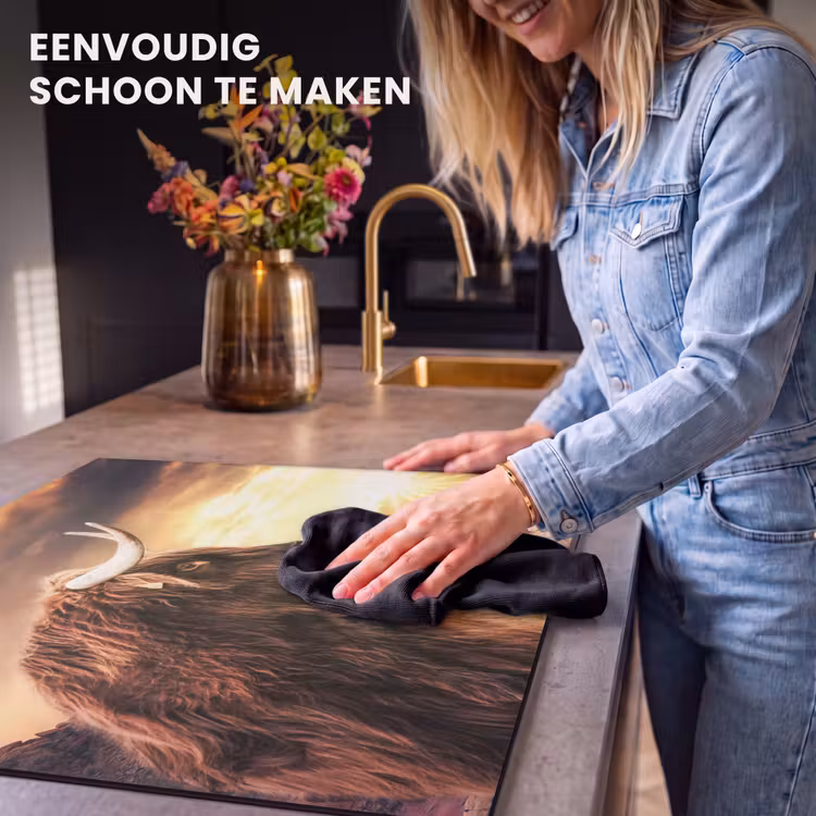 Inductie beschermer - Schotse hooglander - Zon - Horizon - Koe - Dieren — 6