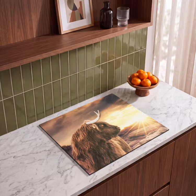 Inductie beschermer - Schotse hooglander - Zon - Horizon - Koe - Dieren — 8