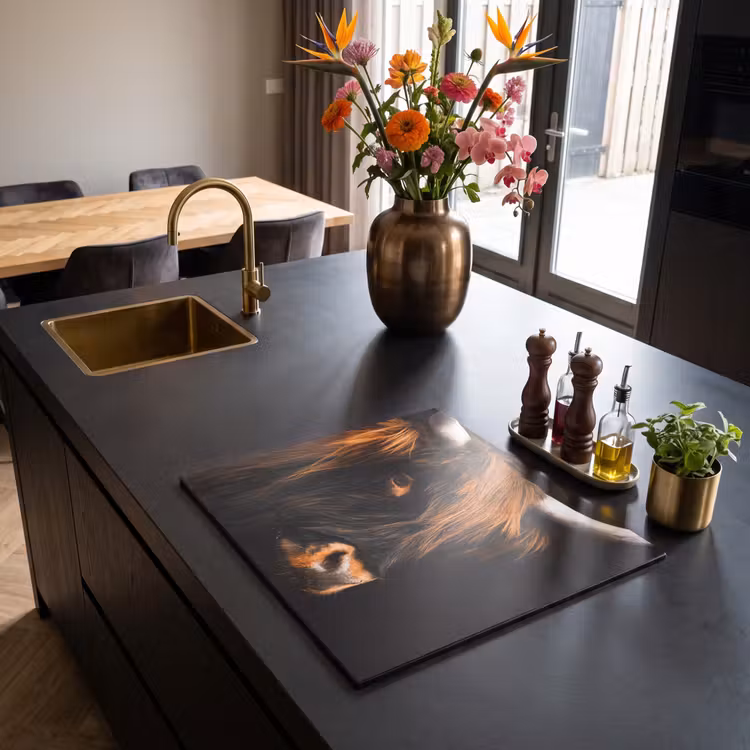 Inductie beschermer - Schotse hooglander - Zwart - Koe - Hoorn - Dieren — 5