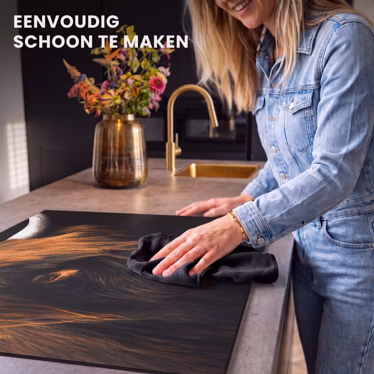 Inductie beschermer - Schotse hooglander - Zwart - Koe - Hoorn - Dieren — 6