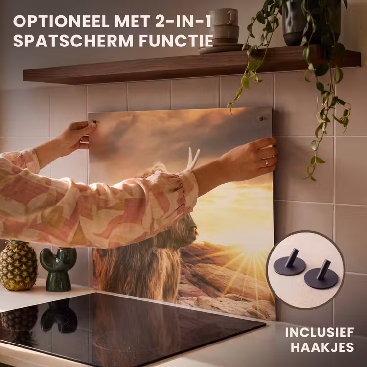 Inductie beschermer - Schotse hooglander - Zon - Horizon - Koe - Dieren — 10