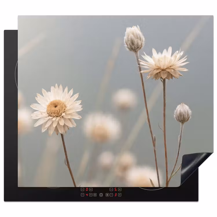 Inductie beschermer - Strobloemen - Wit - Daglicht