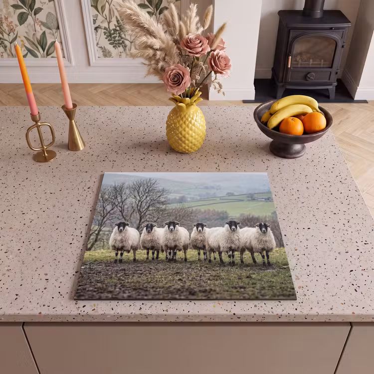 Inductie beschermer - Schapen - Rij - Weide - Dieren - Platteland — 2