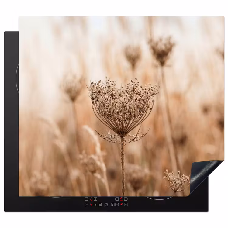 Inductie beschermer - Schermbloem - Droogbloem - Winter - Beige - Minimalistisch