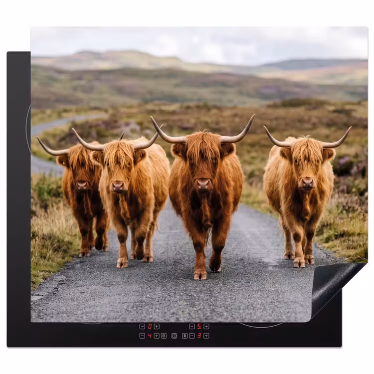 Inductie beschermer - Schotse Hooglanders - Weg - Landschap - Kudde
