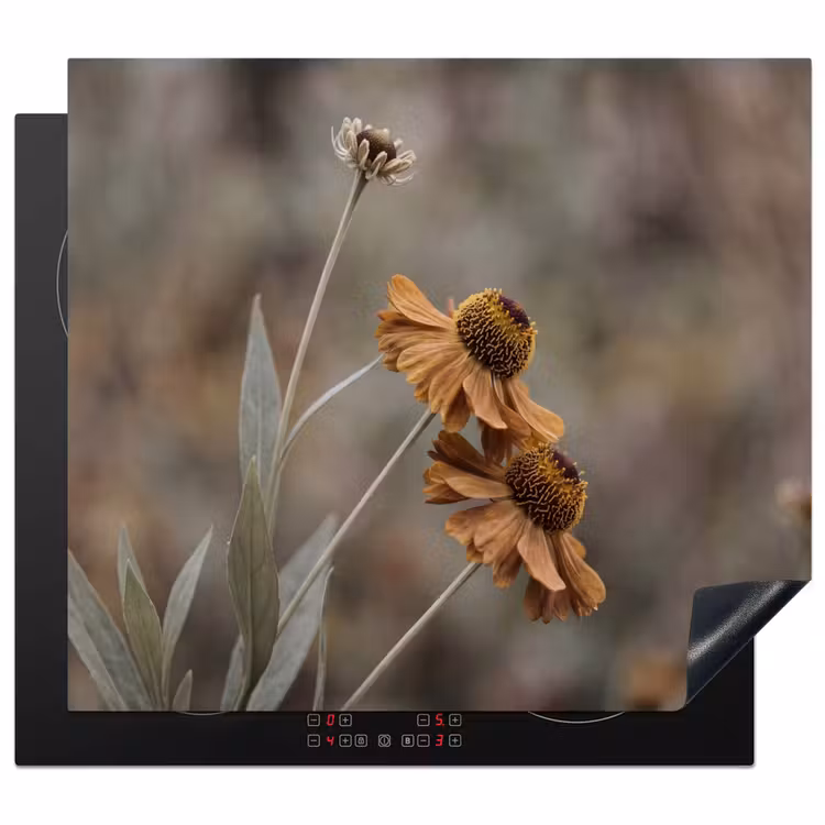 Inductie beschermer - Zonnehoed - Droogbloemen - Geel - Warm