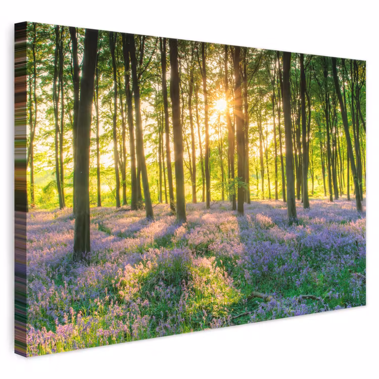 Canvas schilderij - Lente - Bos - Zon