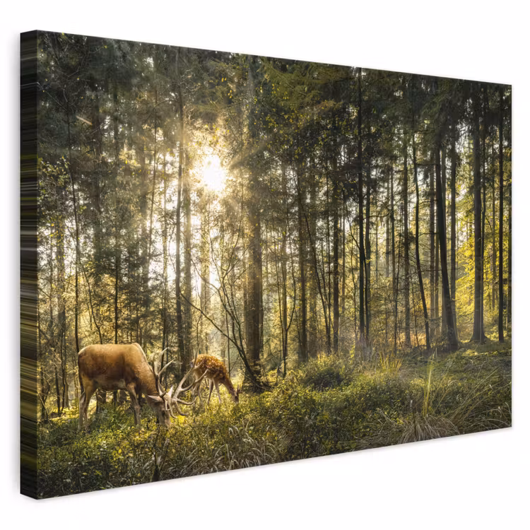 Canvas schilderij - Hert - Natuur - Bos