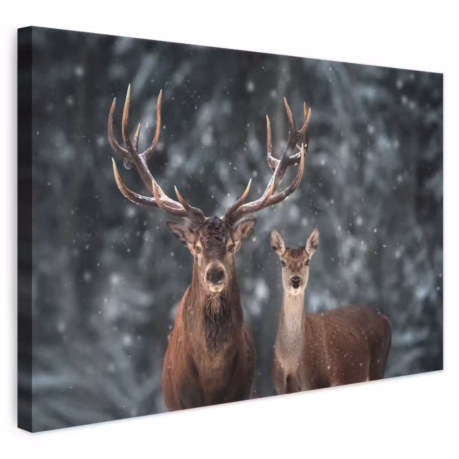Canvas schilderij - Hert - Dieren - Winter - Gewei - Sneeuw - Natuur — 1