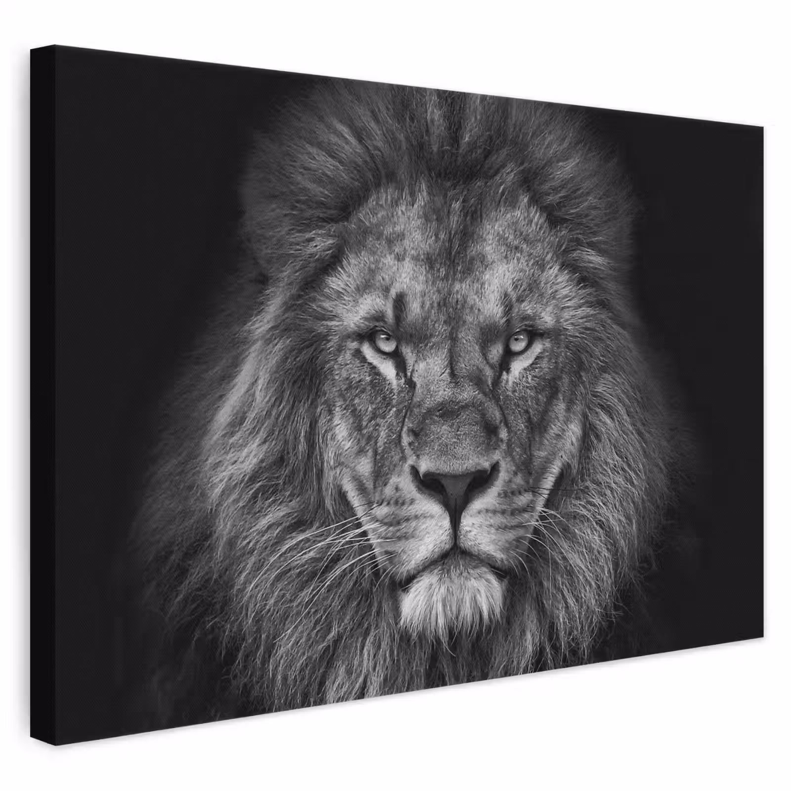 Canvas schilderij - Leeuw - Dieren - Zwart - Wit — 1
