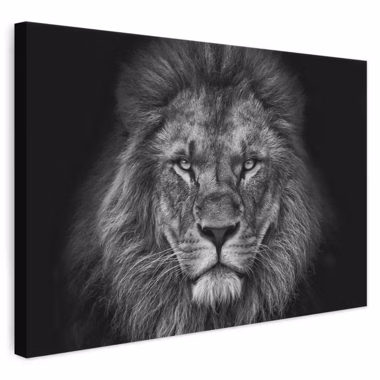 Canvas schilderij - Leeuw - Dieren - Zwart - Wit — 1