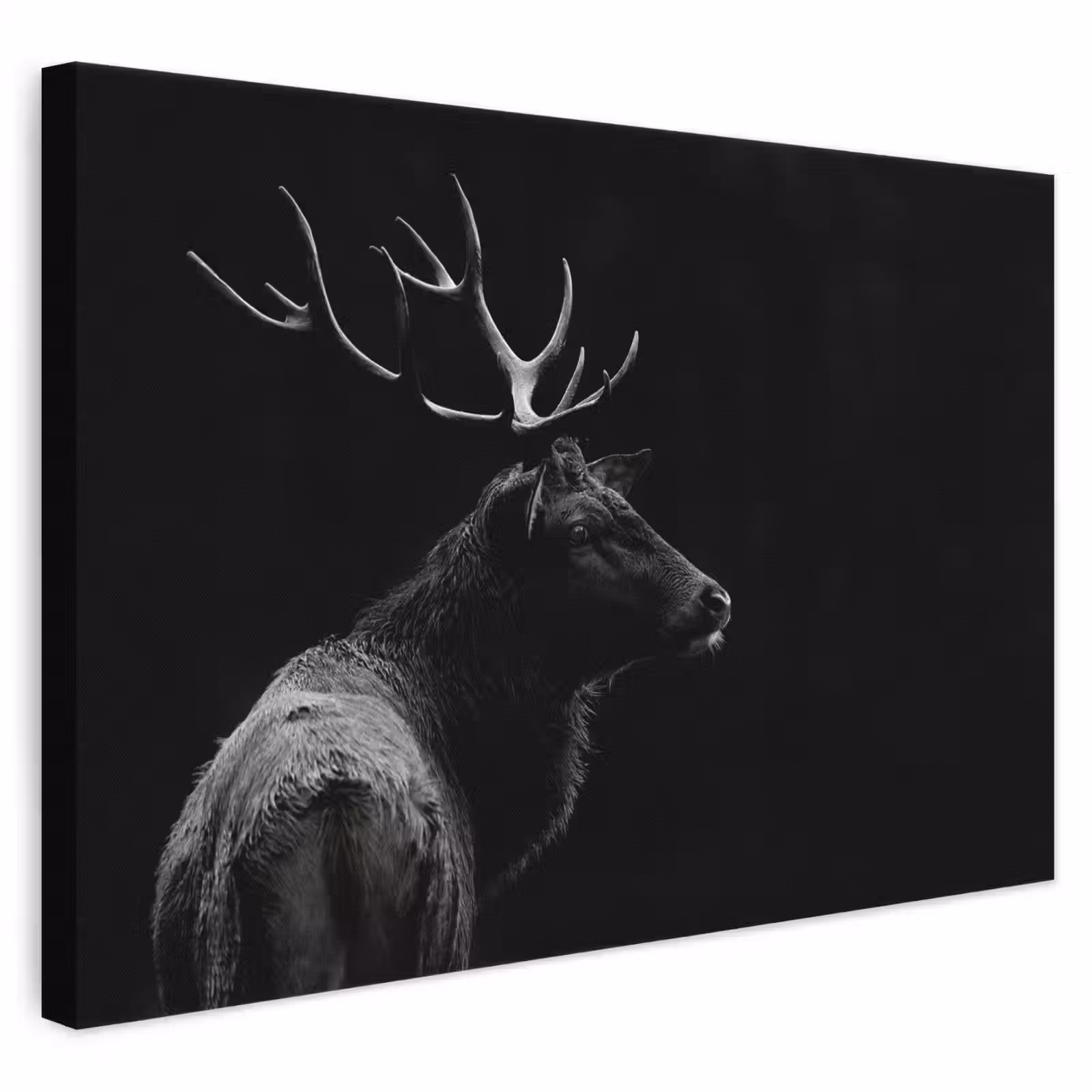 Canvas schilderij - Hert - Zwart - Portret - Gewei - Dieren — 1