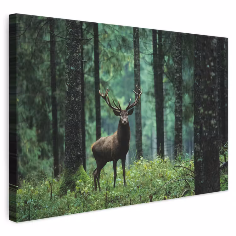 Canvas schilderij - Hert - Bos - Bomen - Dieren - Natuur — 1