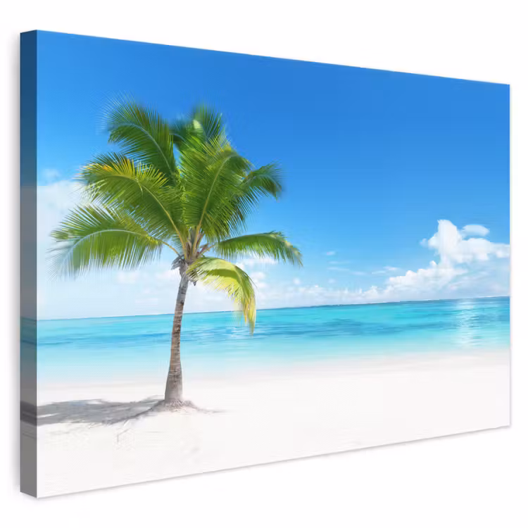 Canvas schilderij - Palmboom - Strand - Zee - Zomer