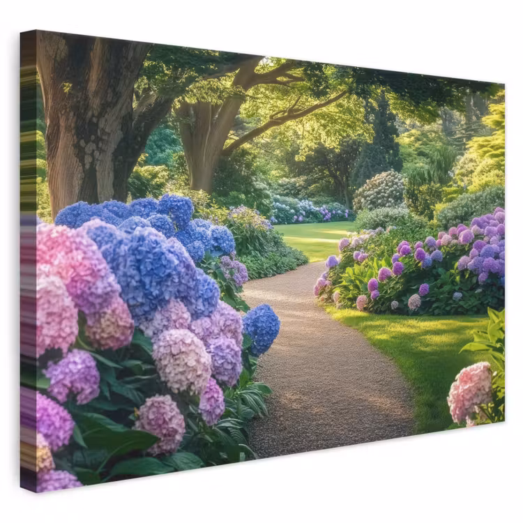 Canvas schilderij - Hortensia- Park - Pad — 1