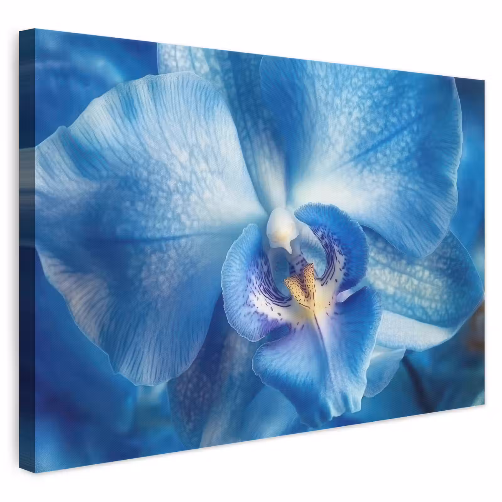 Canvas schilderij - Blauw - Orchidee - Elegeant — 1