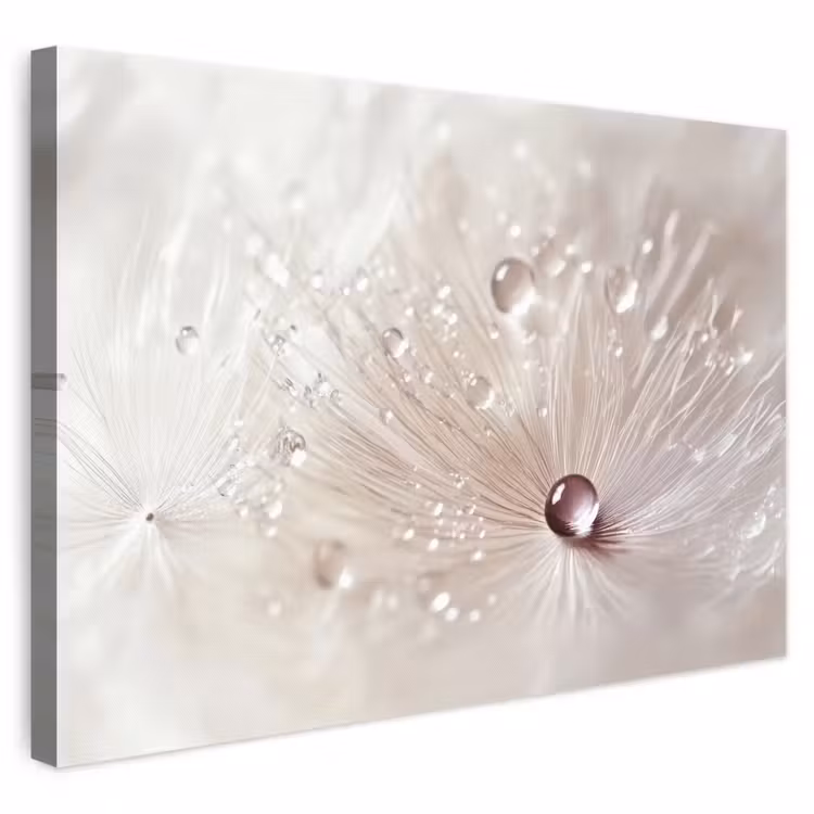 Canvas schilderij - Bloem - Abstract - Wit - Water - Natuur — 1