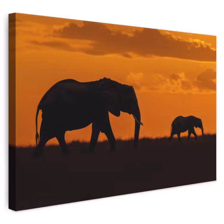 Canvas schilderij - Olifanten - Savanne - Zonsondergang — 1