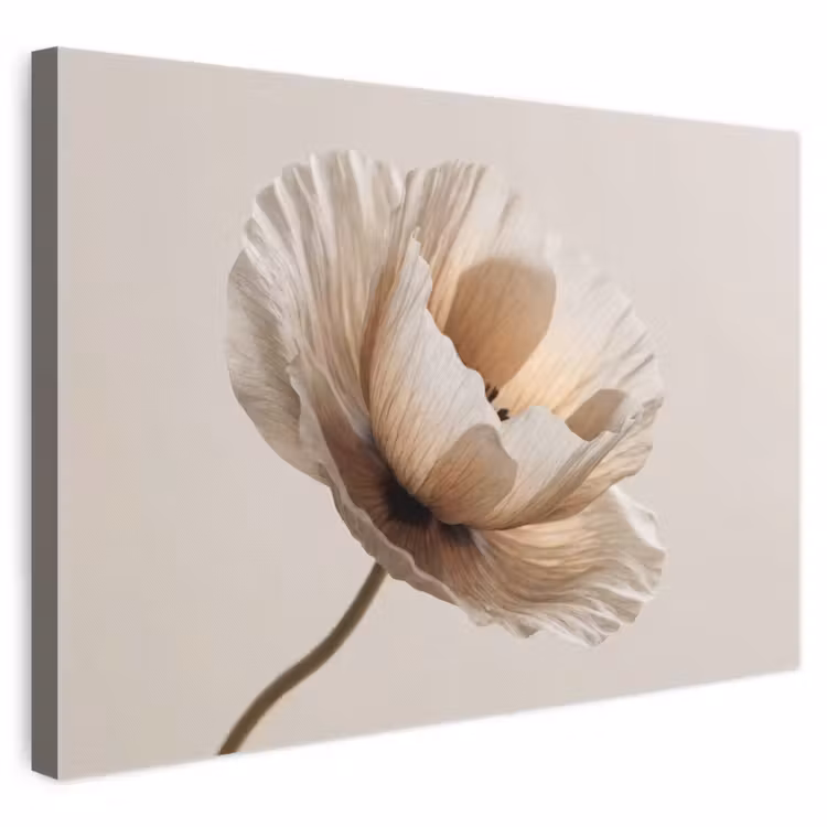 Canvas schilderij - Bloem - Beige - Crème