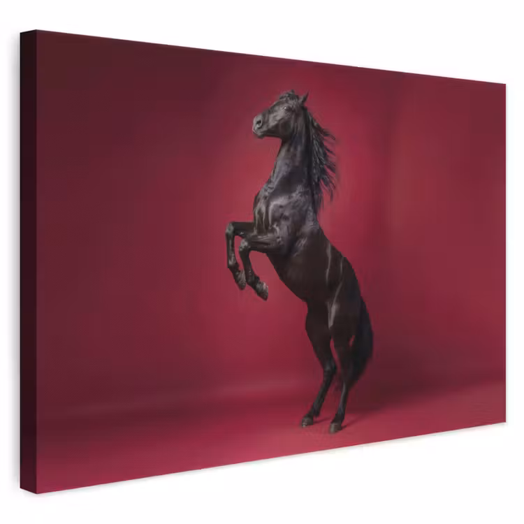 Canvas schilderij - Hengst - Steigert - Rood — 1