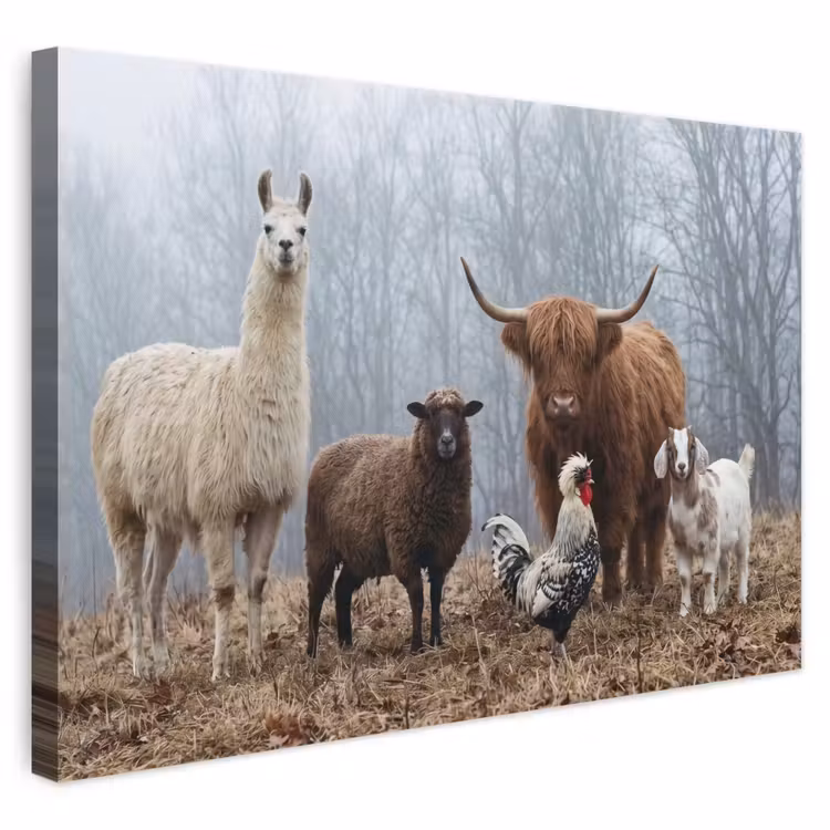 Canvas schilderij - Boerderijdieren - Groep - Mist - Natuur - Rustiek