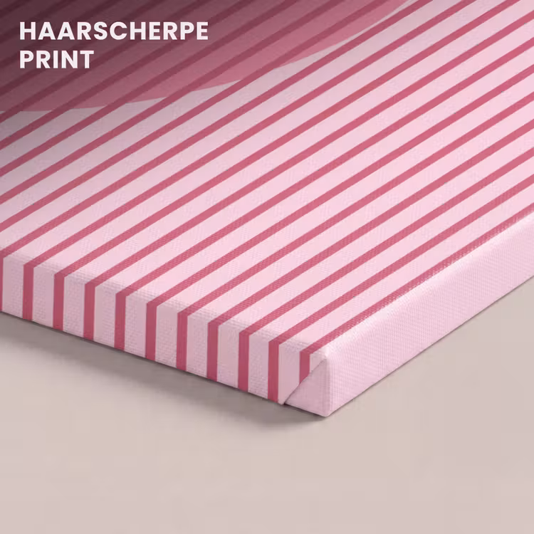Canvas schilderij - Roze Strepen met Cirkel — 5