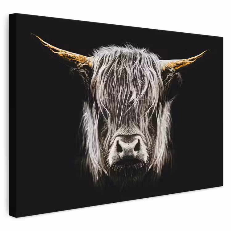 Canvas schilderij - Schotse hooglander - Goud - Hoorns - Zwart wit - Koe - Dieren
